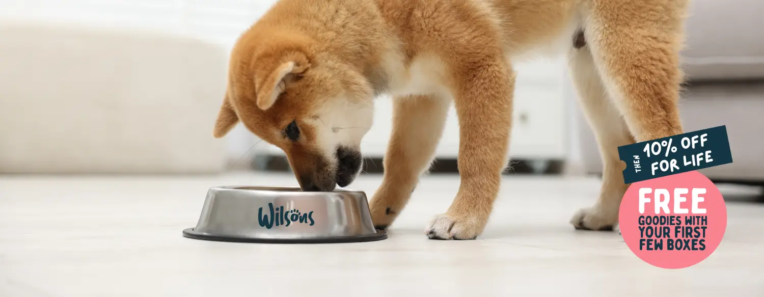 The Ulti-Mutt Way to Feed
