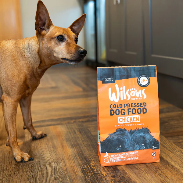 Chicken Premium British Cold Pressed Dog Food - Image 3