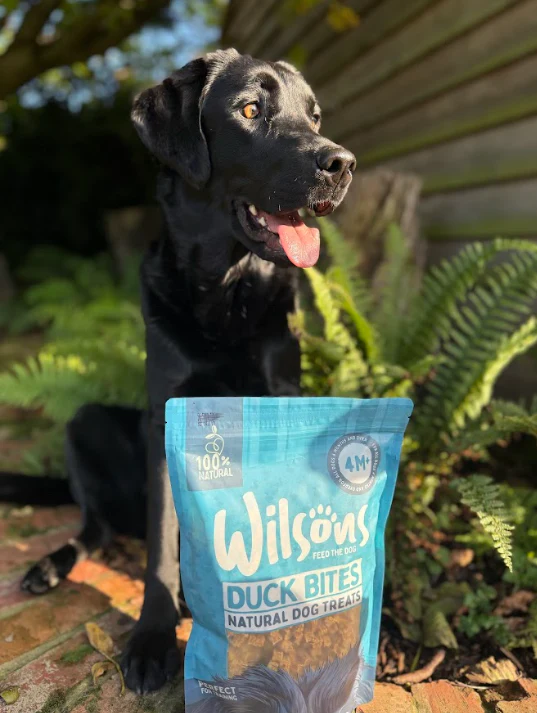 Duck Bites Natural Dog Treats - Image 3