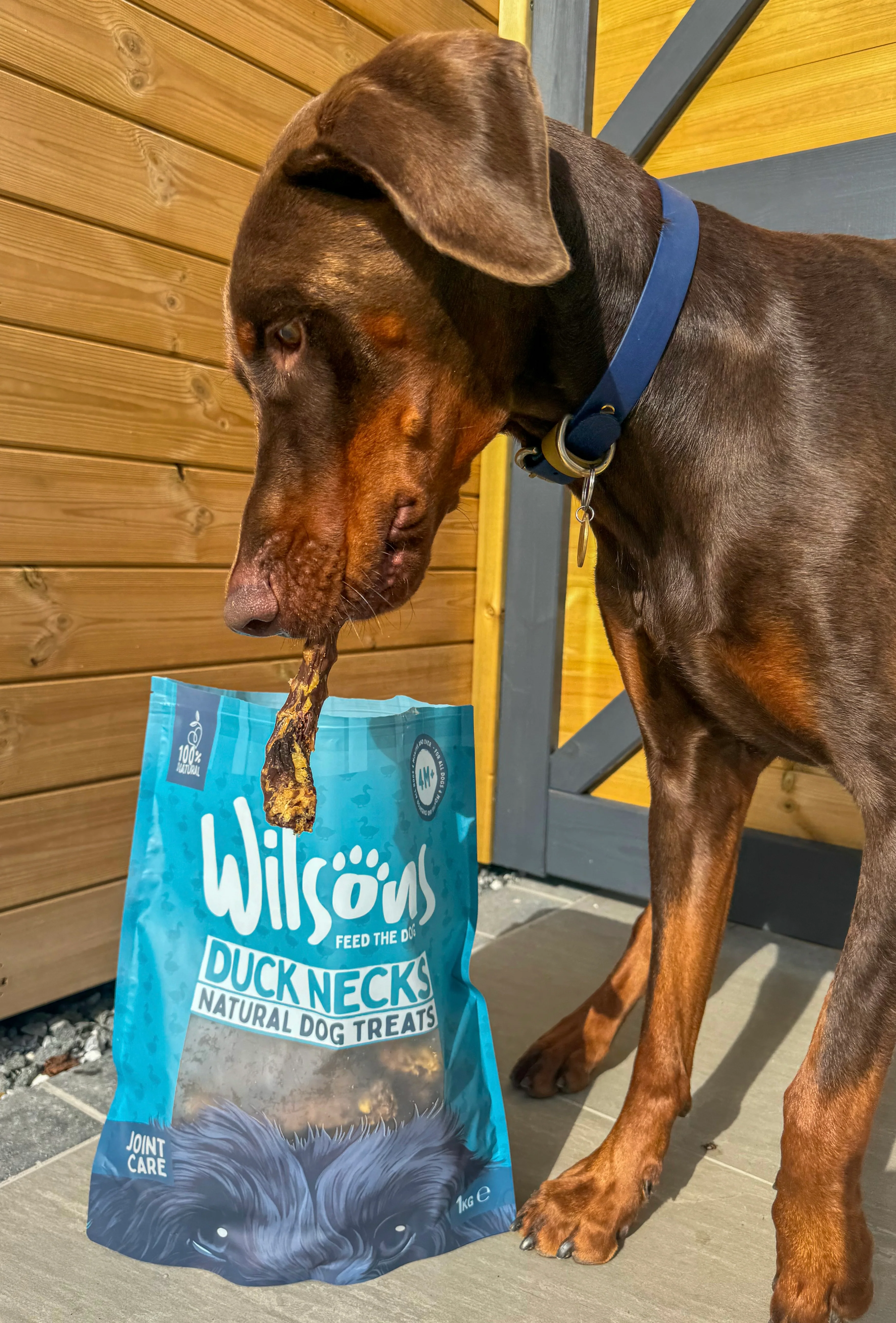 Duck Necks Natural Dog Treats - Image 3
