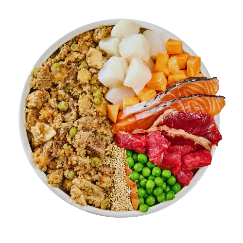 Fish and Beef Fresh Dog Food - Image 4