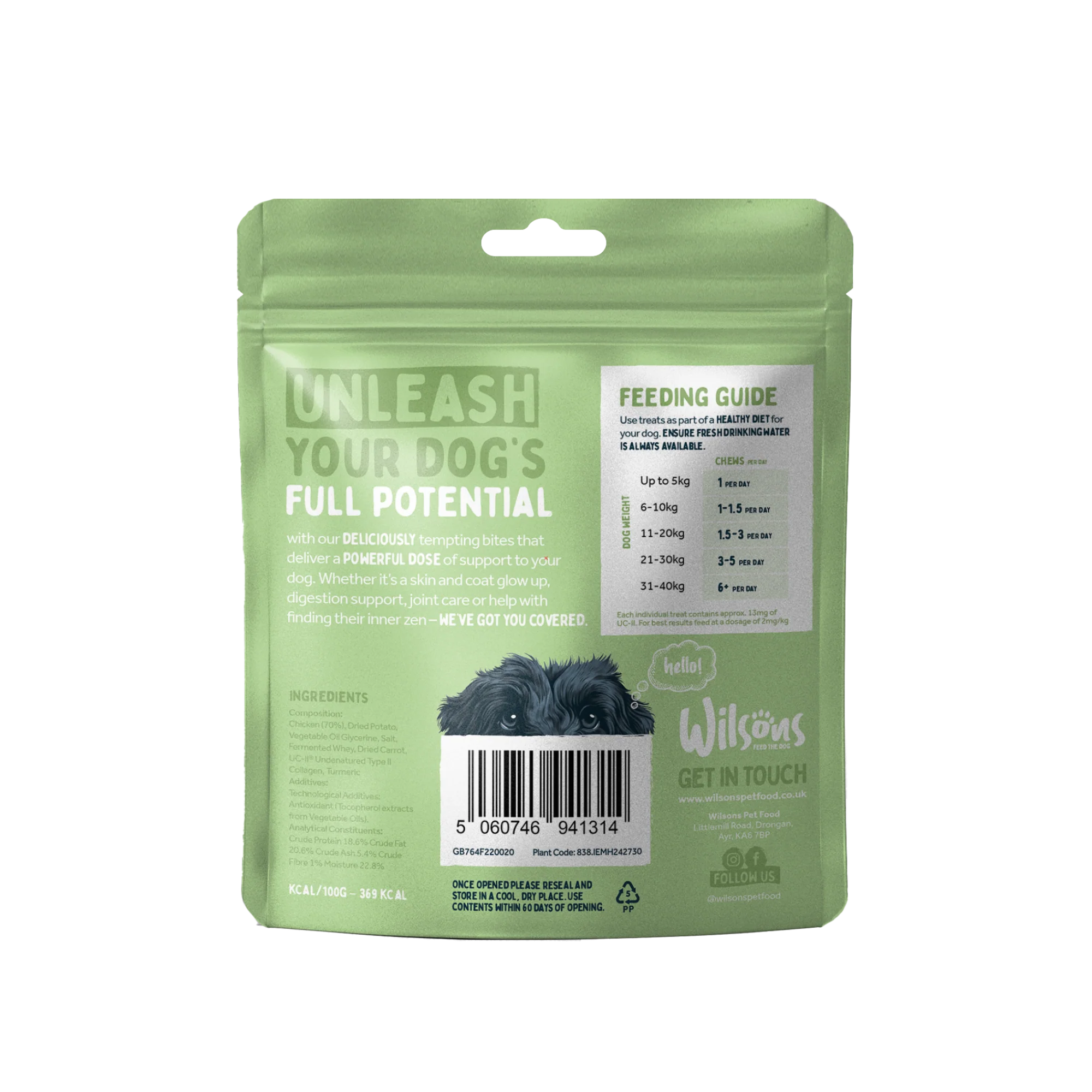 Joint Support Supplement for Dogs - Image 3
