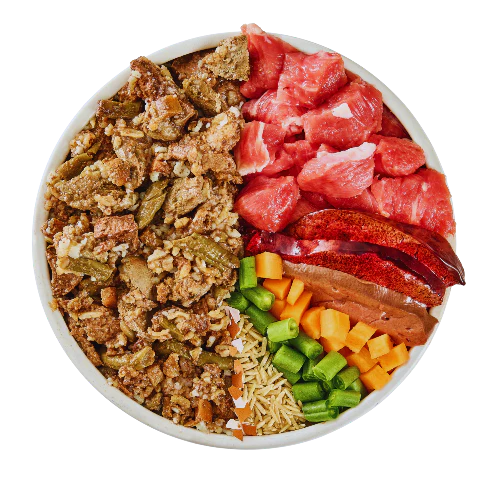 Luscious Lamb Fresh Dog Food - Image 4