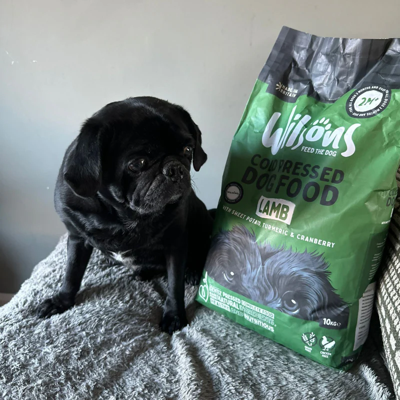 Lamb Premium British Cold Pressed Dog Food - Image 3