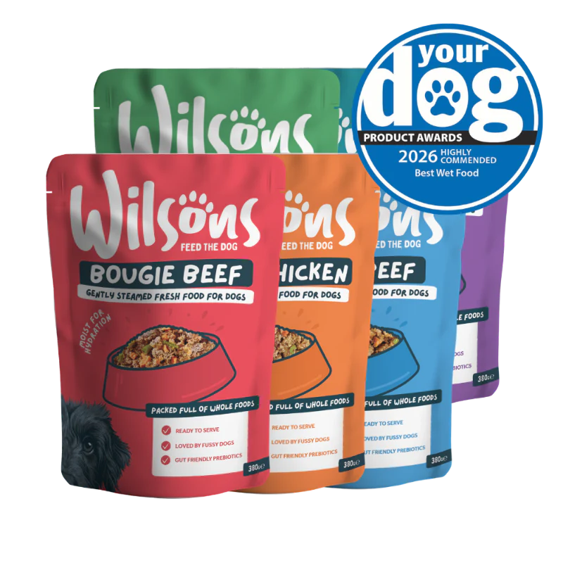 Mixed Bundle Fresh Dog Food - Image 4