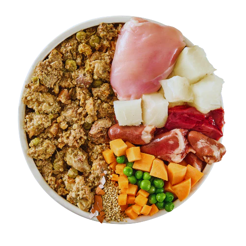 Puppy Mixed Bundle Fresh Dog Food - Image 5