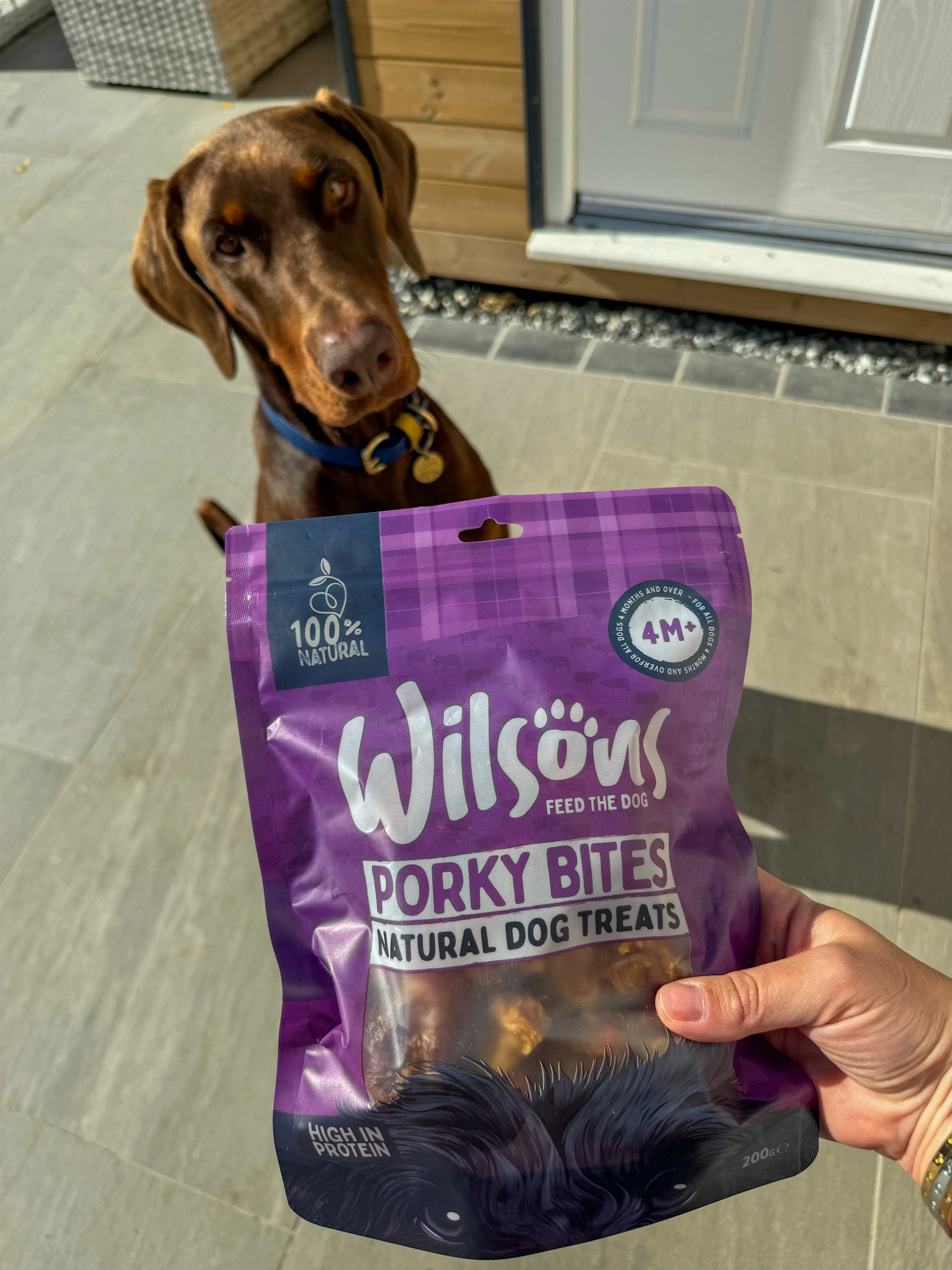 Porky Bites Natural Dog Treats - Image 3
