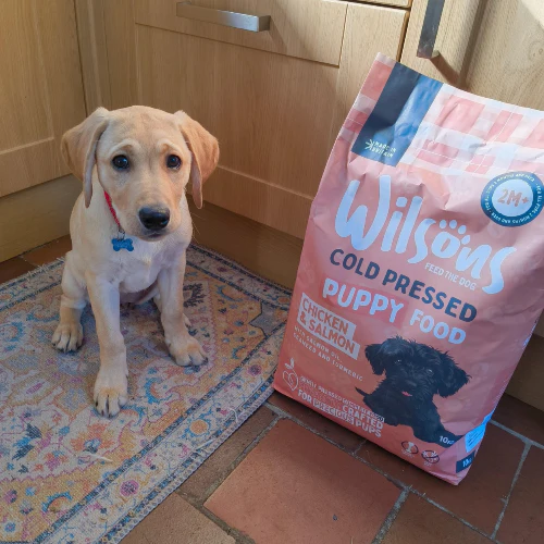 Puppy Premium British Cold Pressed Dog Food - Image 3