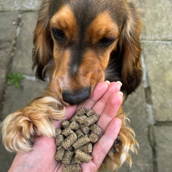 Venison & Trout Premium British Cold Pressed Dog Food - Image 4