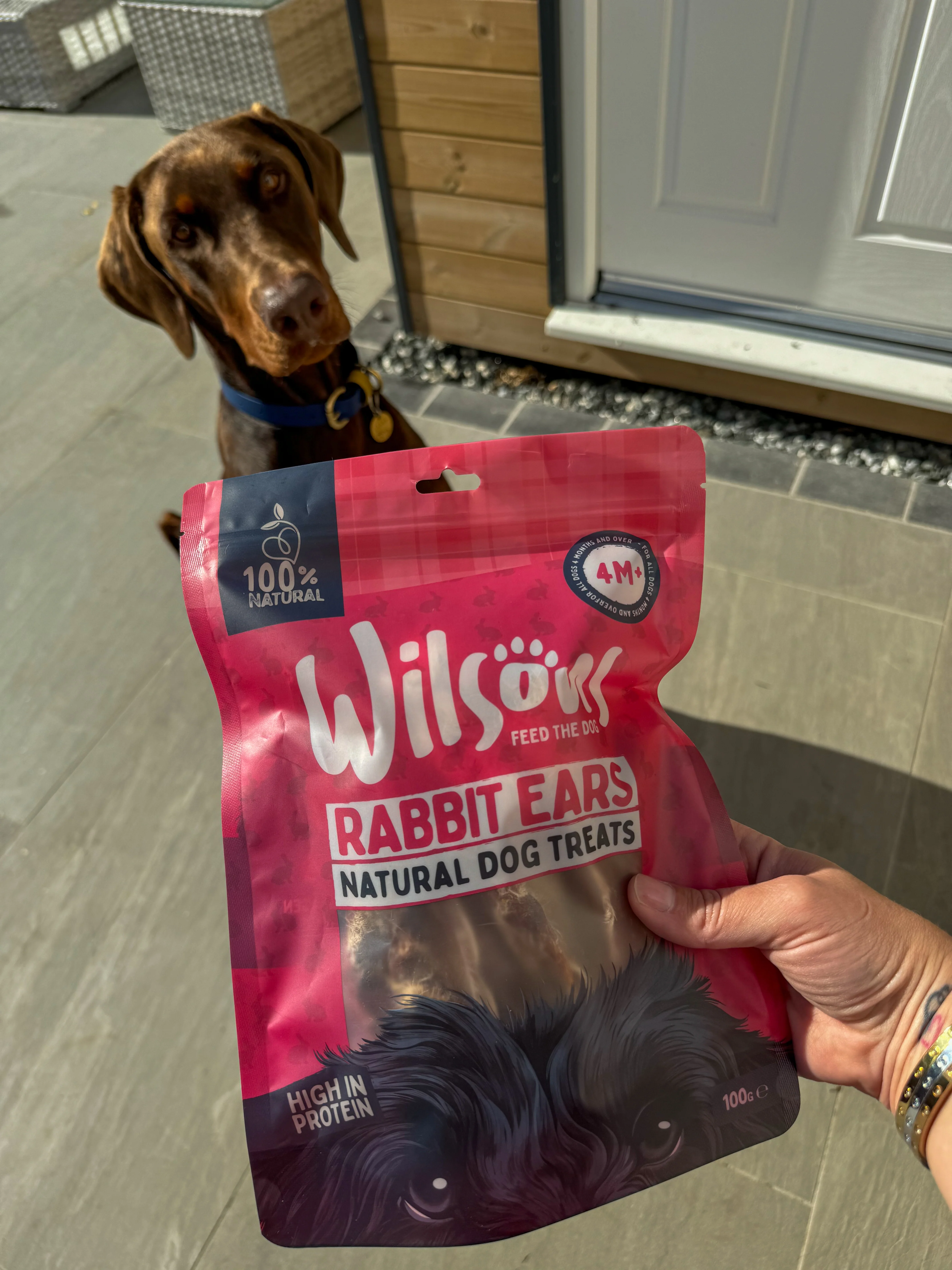 Rabbit Ears Natural Dog Treats - Image 3