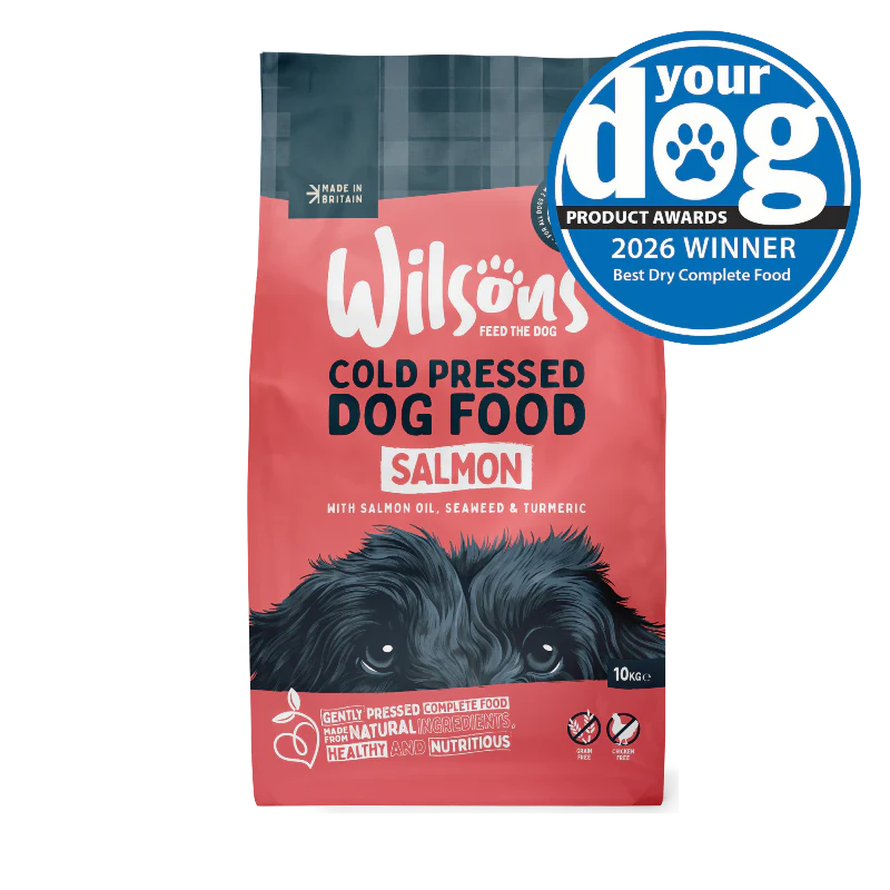 Salmon Premium British Cold Pressed Dog Food - Image 4