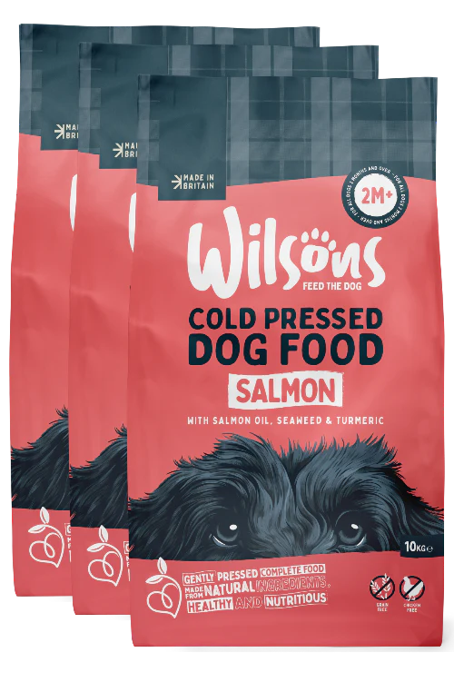 Salmon Premium British Cold Pressed Dog Food - Image 6