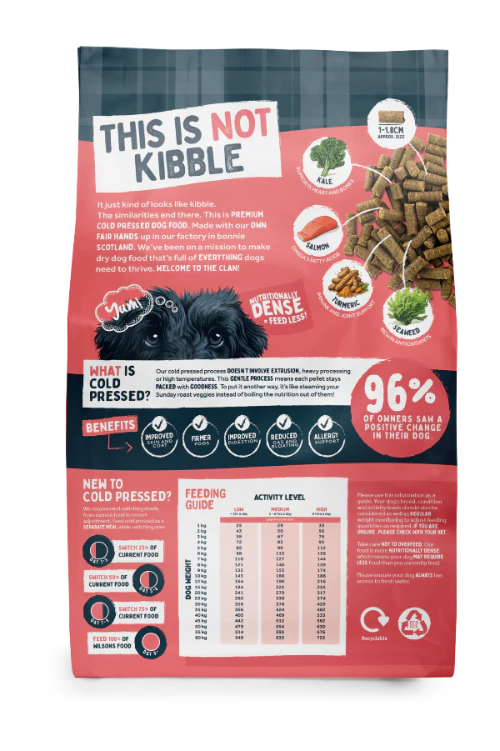 Salmon Premium British Cold Pressed Dog Food - Image 7